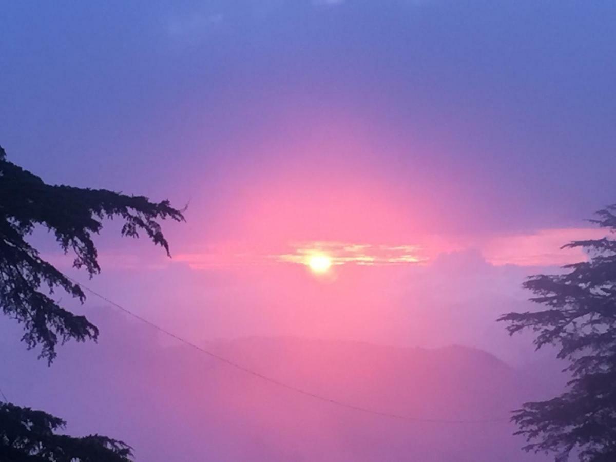 Bed and breakfast Simla View Extérieur photo